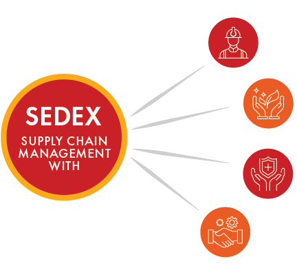 SEDEX Consultant