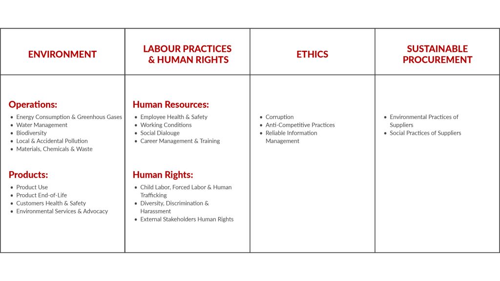 EcoVadis Sustainability Criteria