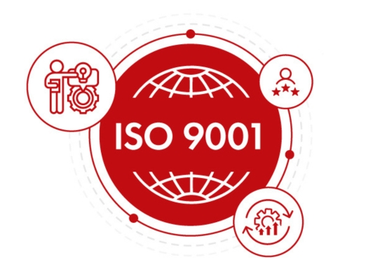 ISO 9001 Consultant